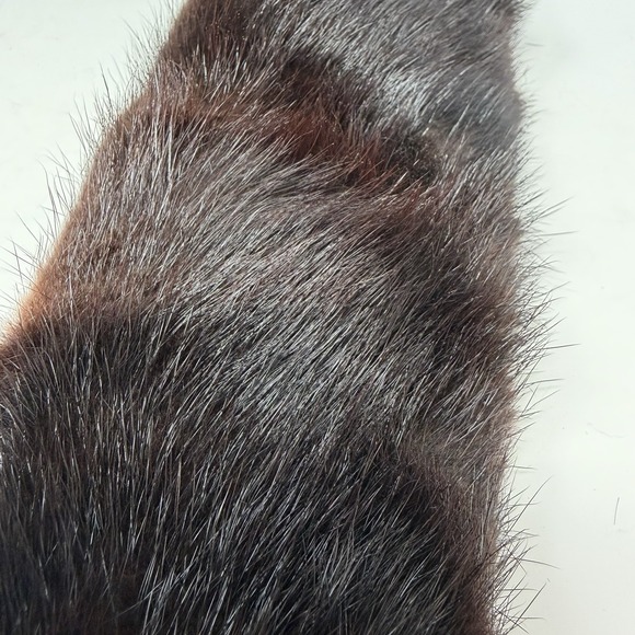 Vintage Miller Brothers Genuine Mink Fur Collar Dark Brown Detachable Estate - Picture 9 of 11